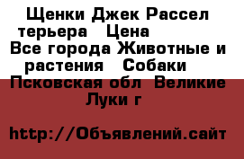 Щенки Джек Рассел терьера › Цена ­ 30 000 - Все города Животные и растения » Собаки   . Псковская обл.,Великие Луки г.